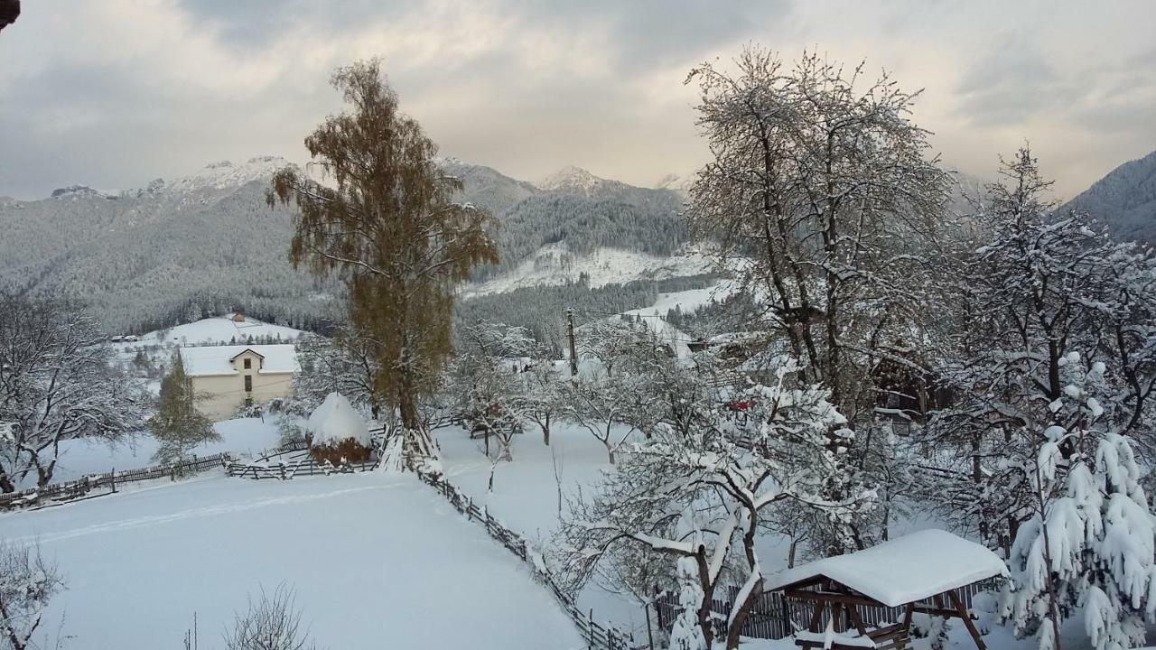 Cabana Festung برانْ المظهر الخارجي الصورة