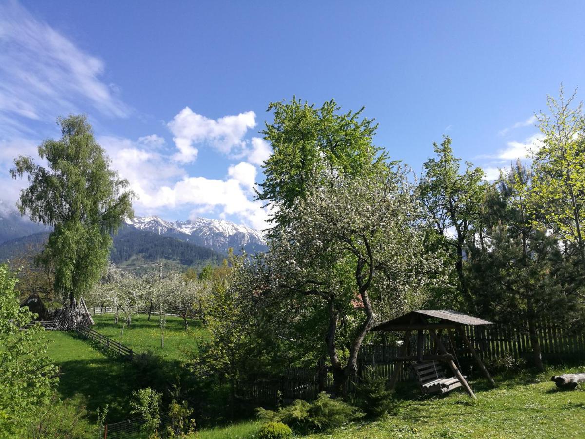 Cabana Festung برانْ المظهر الخارجي الصورة